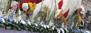 Corso fiorito Sanremo in fiore
